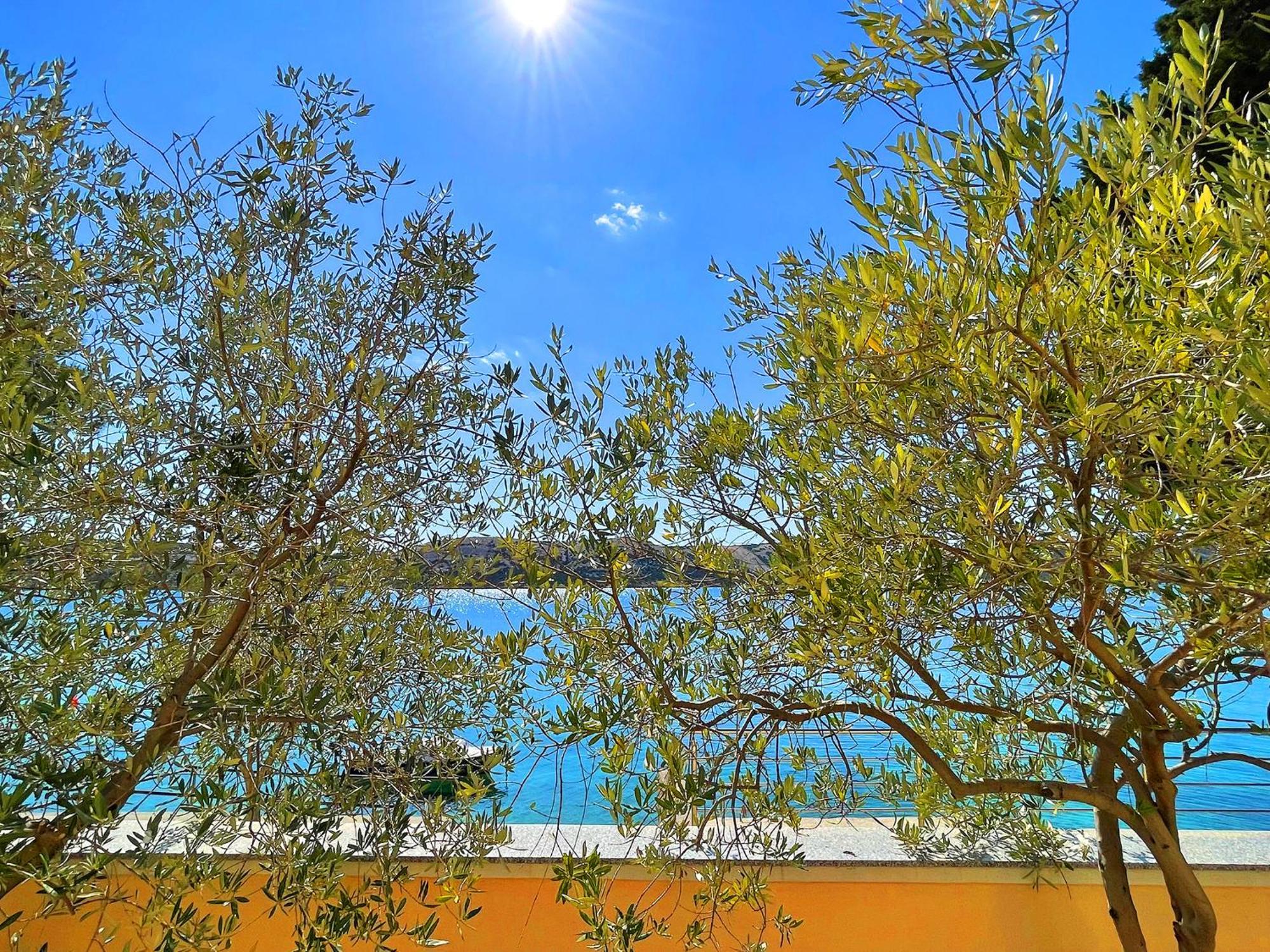 Villa Olivija-Direkt Am Strand! スタラ・ノヴァリャ エクステリア 写真